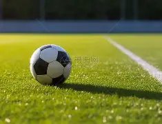 米雪与赵雅,岁风采对比,揭秘,天博体育平台,天博体育官方网站,天博体育登录入口,天博体育app下载