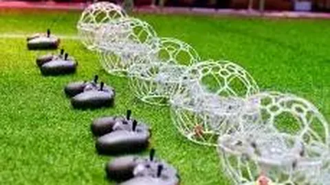 2025电竞世界杯完美收官，中国战队书写辉煌新篇章