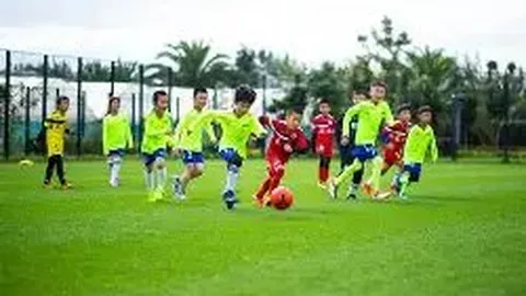 天博体育 产品 084853 lvf