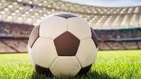 天博体育 资讯 091431 pbf